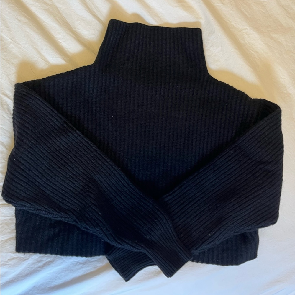 Aritzia Wilfred Cropped Turtleneck, Black